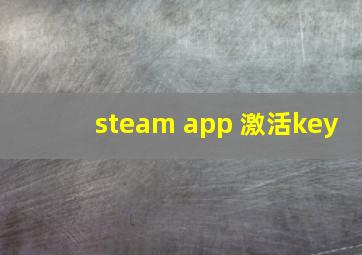 steam app 激活key